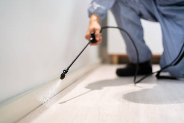 Certified termite inspector examining foundation in Bellaire